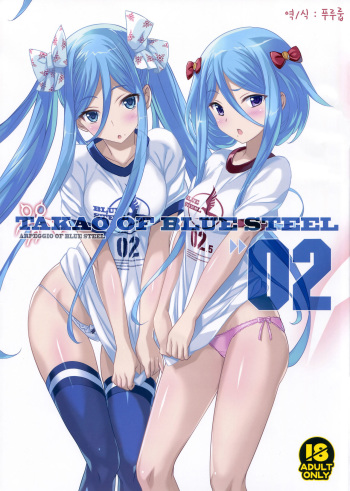(C84) [Kotonosha (Mutsumi Masato)] TAKAO OF BLUE STEEL 02 (Arpeggio of Blue Steel) [Korean] cover