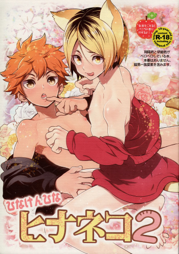 (RTS!!5) [Chigen TORINO (Kosugi)] Hina Neko 2 (Haikyuu!!) cover