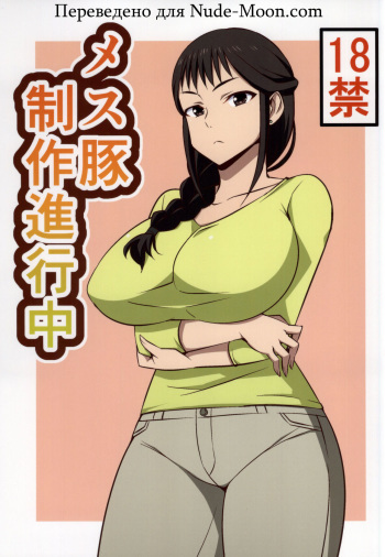 (COMIC1☆9) [Mattari House (Aitsu)] Mesu Buta Seisaku Shinkouchuu | Мисо суп (SHIROBAKO) [Russian] [Drakkan] cover
