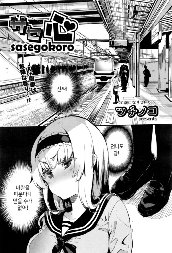 [Tsuchinoko] Sasegokoro (COMIC AUN 2016-09) [Korean] cover