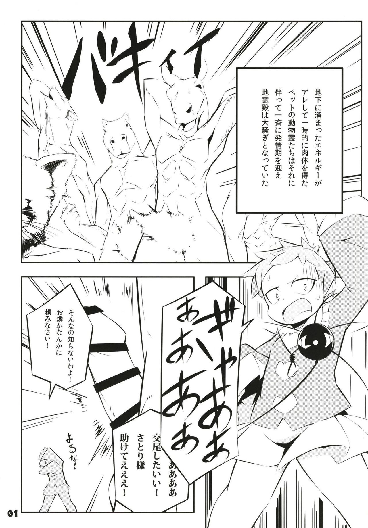 Super Dekorix page 3 full