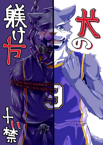 [Natsuiro Laika (Ginnosuke)] Inu no Shitsukekata [Korean] [Digital] cover