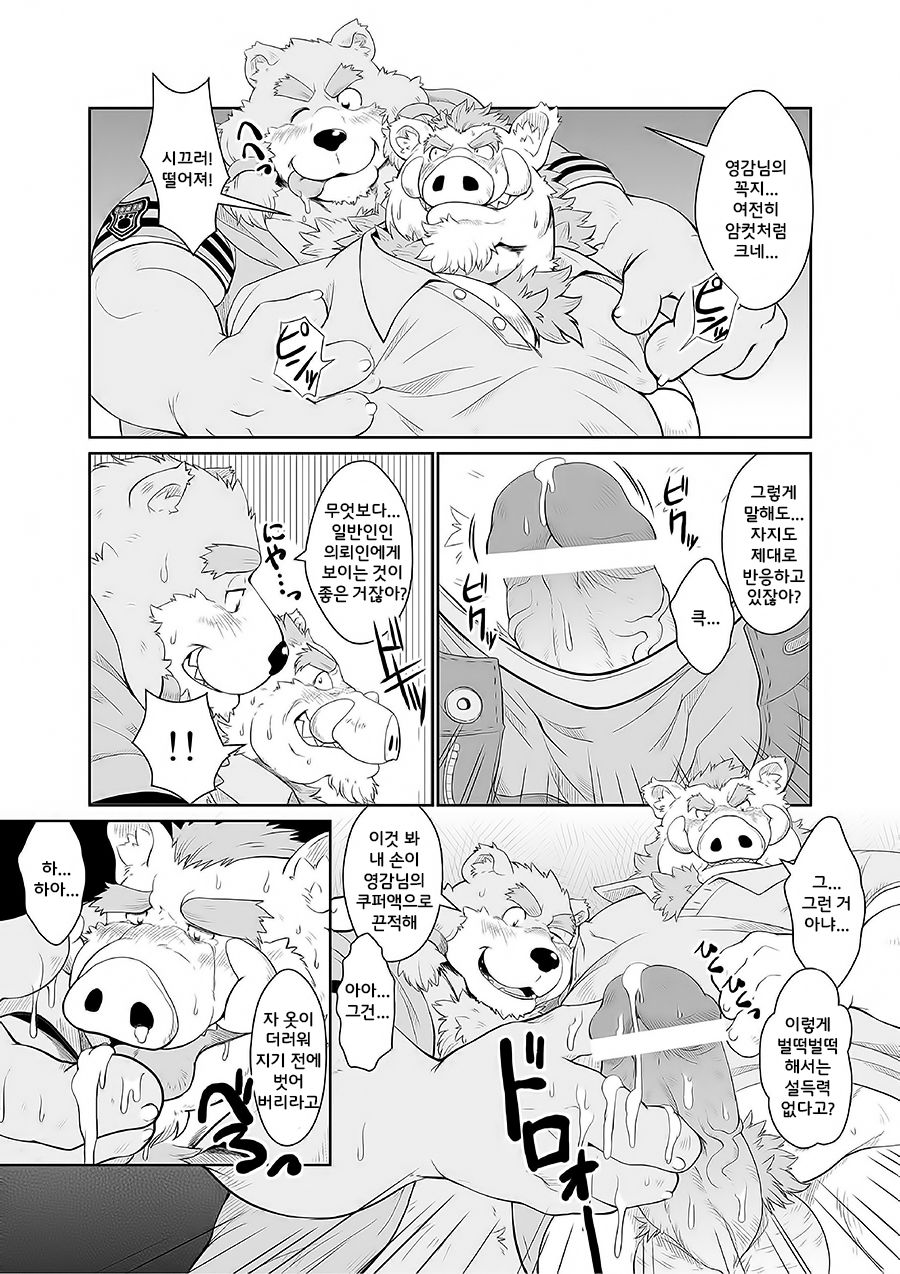 KEMONO Company | KEMONO 컴퍼니 page 11 full