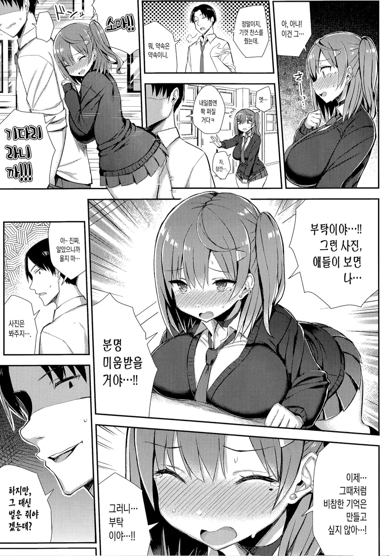 Muchimuchi Shojo Bitch o Mechakucha Choukyou Shitai Hon | 포동포동 처녀 빗치를 마구마구 조교하고픈 책 page 12 full