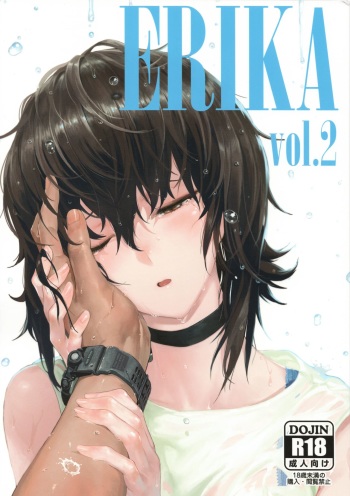 (C93) [SHIOHAMA (Hankotsu MAX)] ERIKA Vol.2 (Girls und Panzer) cover
