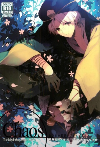 (SUPER22) [OPT (Hoshino Kabi)] Chaos (Magi: The Labyrinth of Magic) cover