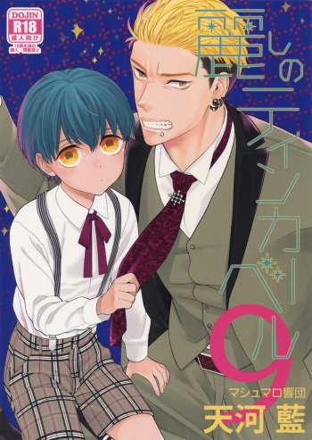 (C93) [Marshmallow Kyoudan (Tenkawa Ai)] Uruwashi no Tinker Bell 9 cover