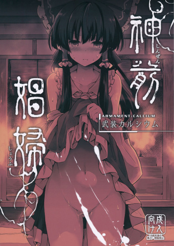 (C91) [Armament Calcium (Take Calcium)] Shinzen Shoufu (Touhou Project) [Korean] cover
