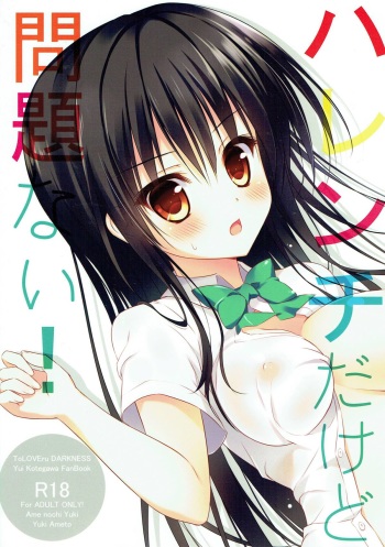 (SC57) [Ame nochi Yuki (Ameto Yuki)] Harenchi dakedo Mondai Nai! (To LOVE-Ru) cover