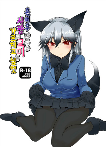 (Japariket 3) [Caution (Eitaisa)] Gingitsune-chan ni Hito no Koubi o Oshietai | 은여우 쨩에게 사람의 교미를 가르치고 싶엇 (Kemono Friends) [Korean] cover