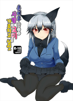 Gingitsune-chan ni Hito no Koubi o Oshietai | 은여우 쨩에게 사람의 교미를 가르치고 싶엇