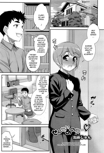[Katou Jun] Sensei anone... (Koushoku Shounen Vol. 10)  [Spanish][elmoedela8] cover