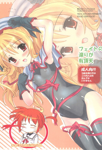 (Puniket 19) [Testa Kitchen (Testa)] Fate no Tagiri ga Uchouten (Various) cover