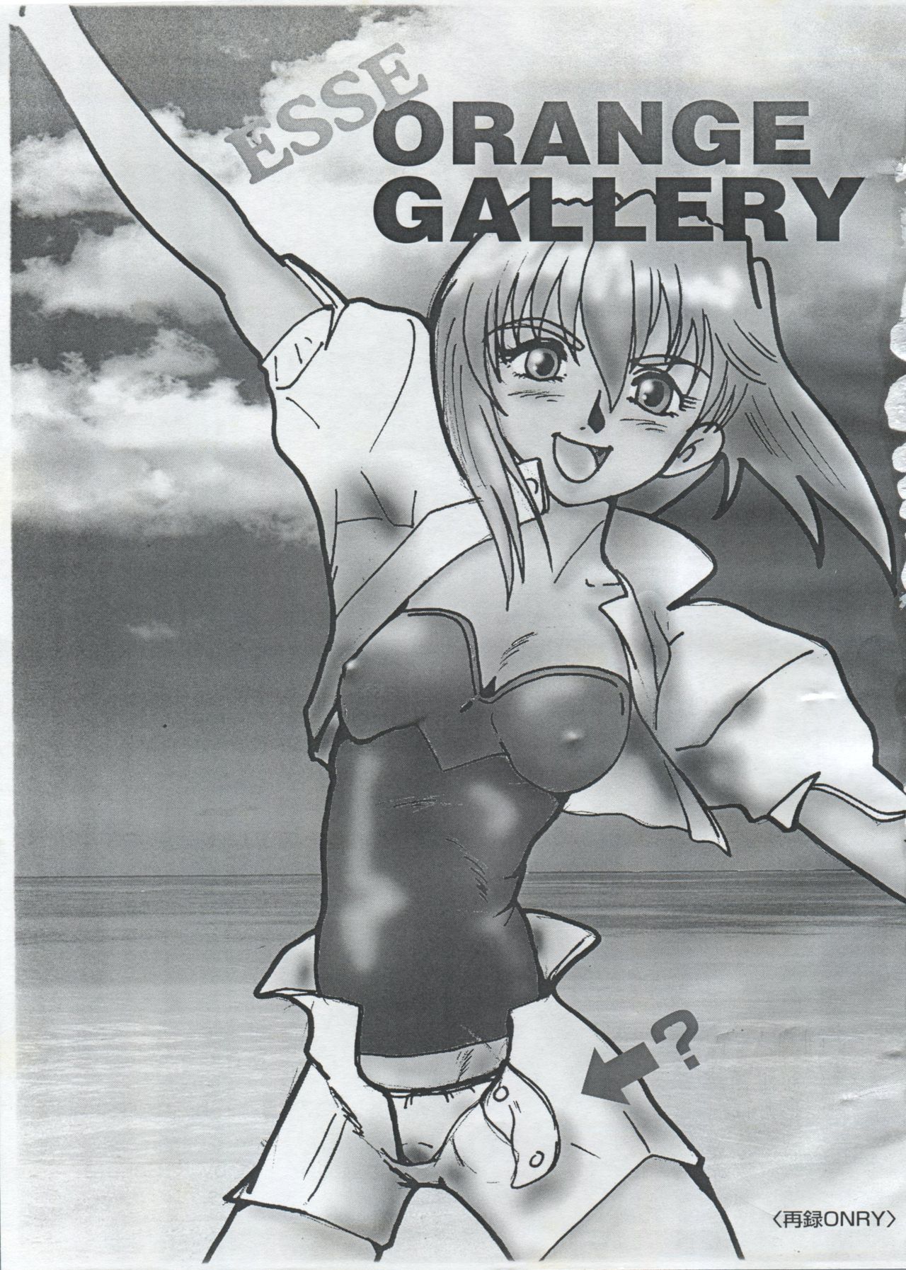 Esse Orange Gallery page 3 full