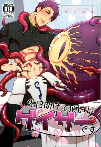 (SPARK12) [STAND PLAY (Hagetaka)] Senjitsu Tasukete Itadaita Gazer desu (Fate/Grand Order) cover
