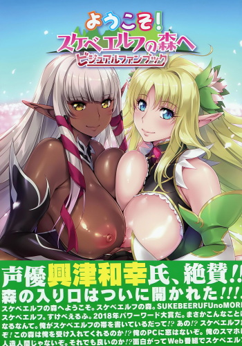 [Lune Comic] Youkoso! Sukebe Elf no Mori e Visual Fanbook cover