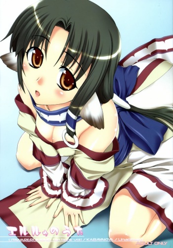 (CT9) [KABAYAKIYA (Unagimaru)] Eruru no Uta (Utawarerumono) [Korean] [로리군] cover