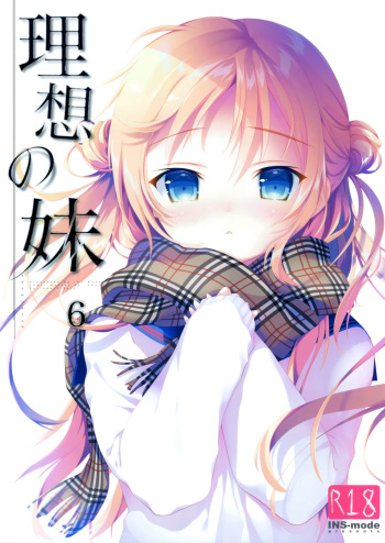 [INS-mode (Amanagi Seiji)] Risou no Imouto 6 [English] [biribiri] [2018] cover