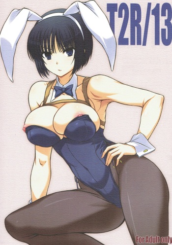(C93) [BRIEST (Yatsushima Tetsuya)] T2R/13 (Various) cover