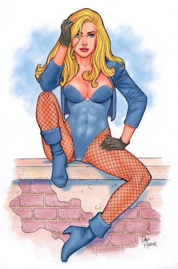 Artist - Dave Hoover cover