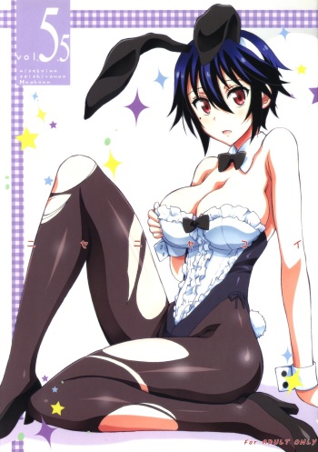(CSP6) [Project Harakiri (Kaishaku)] Nisenisekoi 5.5 (Nisekoi) [English] [desudesu] cover