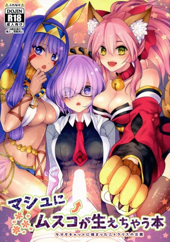 (C93) [16 Sai (Pastachin)] Mash ni Musuko ga haechau Hon (Fate/Grand Order) cover
