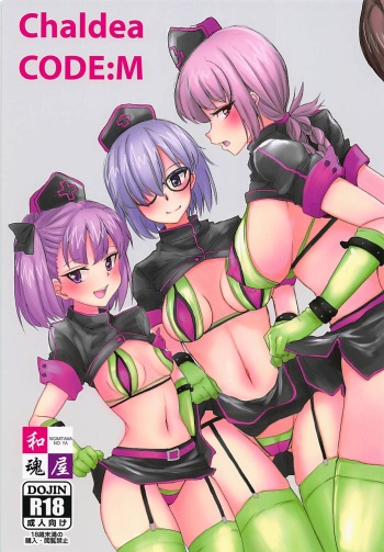 (C93) [Nigimitama no Ya (Garyou)] Chaldea CODE:M (Fate/Grand Order) cover