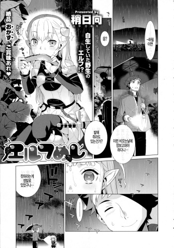 [Yaya Hinata] Elf Meshi (COMIC ExE 02) [Korean] [팀 아동복지부] cover