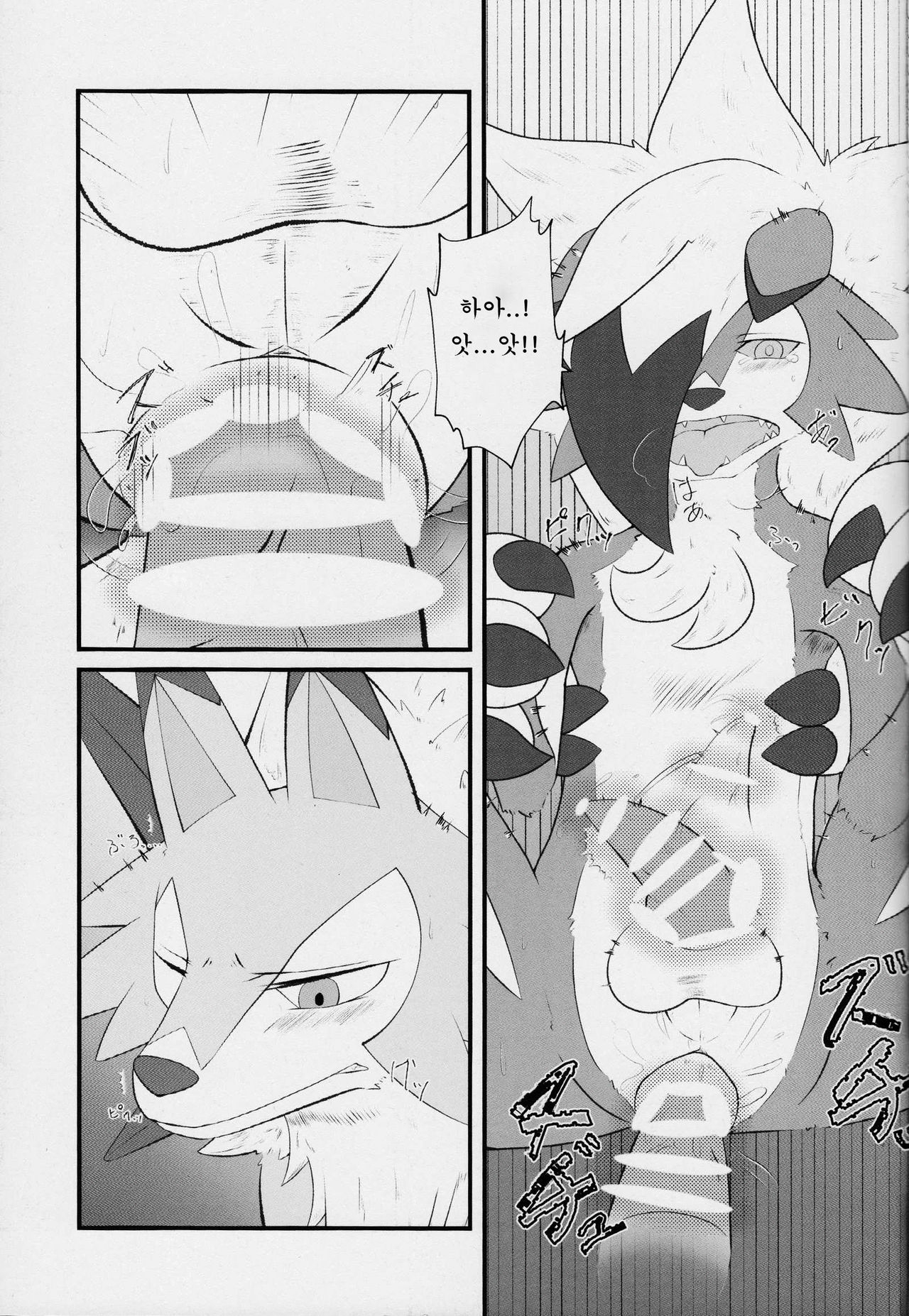 Sesseto Rugaruga | 돈독히 루가루가 page 12 full