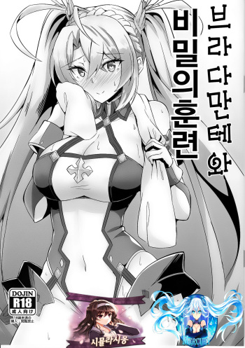(C95) [Tiusan Kingdom (Kazamitiu)] Bradamante to Himitsu no Tokkun | 브라다만테와 비밀의 훈련 (Fate/Grand Order) [Korean] [시뮬라시옹 & Mercury] cover