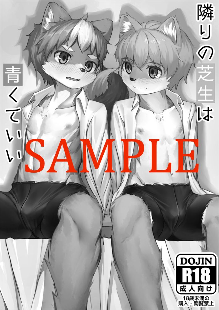 nayoshi744 - 【告知】隣の芝生は青くていい！【関西けもケット】 page 1 full