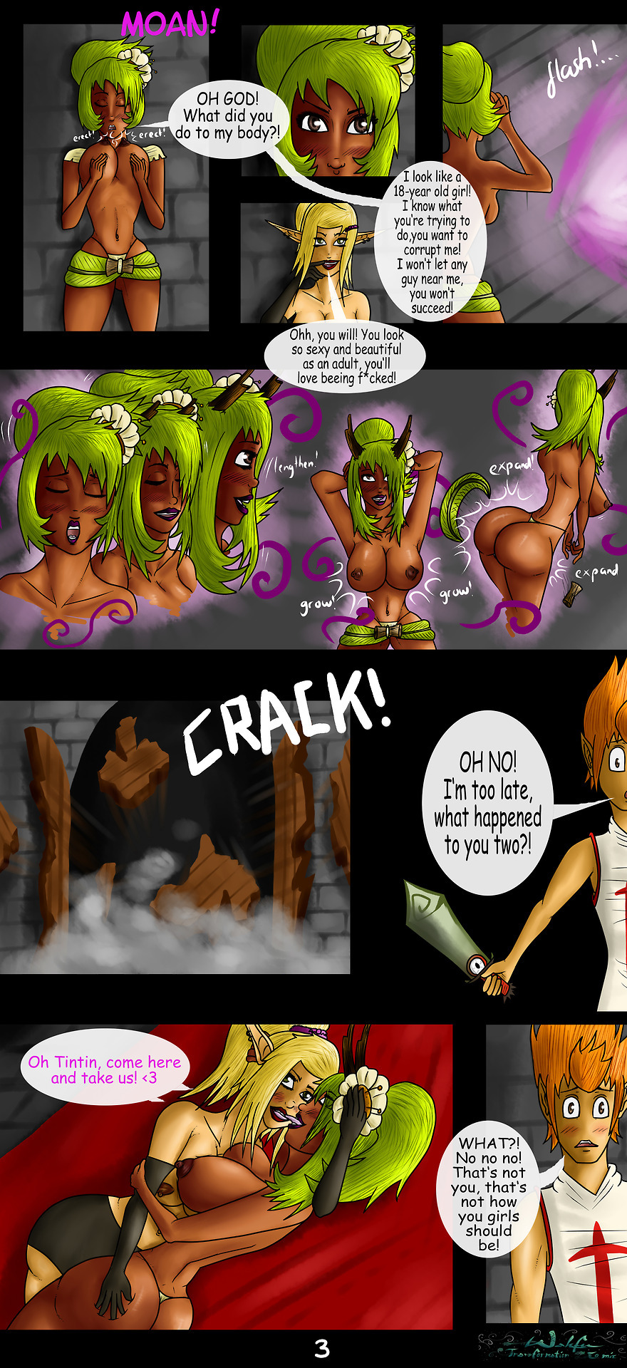 Wakfu Transformation Comic page 3 full