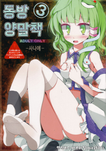 (Echigo Touhou Biyori San) [Usotsukiya (Oouso)] Touhou Kutsushita Bon 3 -Sanae- | 동방 양말책 3 -사나에- (Touhou Project) [Korean] [bic2530] cover