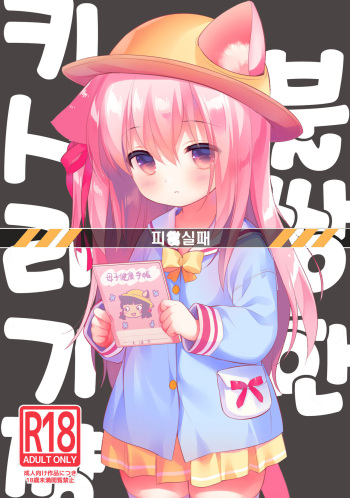 [PiyoPit (Piyodera Mucha)] Hinin Shippai -Kawaisou na Kisaragi-chan- | 피임실패 -불쌍한 키사라기쨩- (Azur Lane) [Korean] [2018-08-26] cover