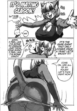 Hatsujouki desu yo! | It's Mating Season!