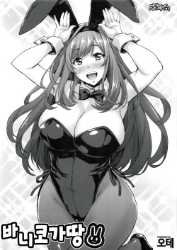 Bunny Koga-tan | 바니 코가땅