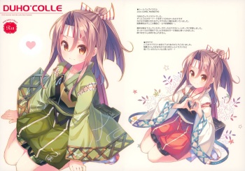 (C90) [TIES (Takei Ooki)] DUHO*COLLE (Kantai Collection -KanColle-) cover
