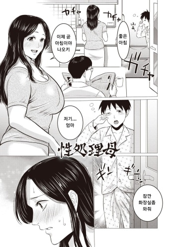 [Natsu no Oyatsu] Seishori  Haha (Chibo Soukan) [Korean] [Digital] cover
