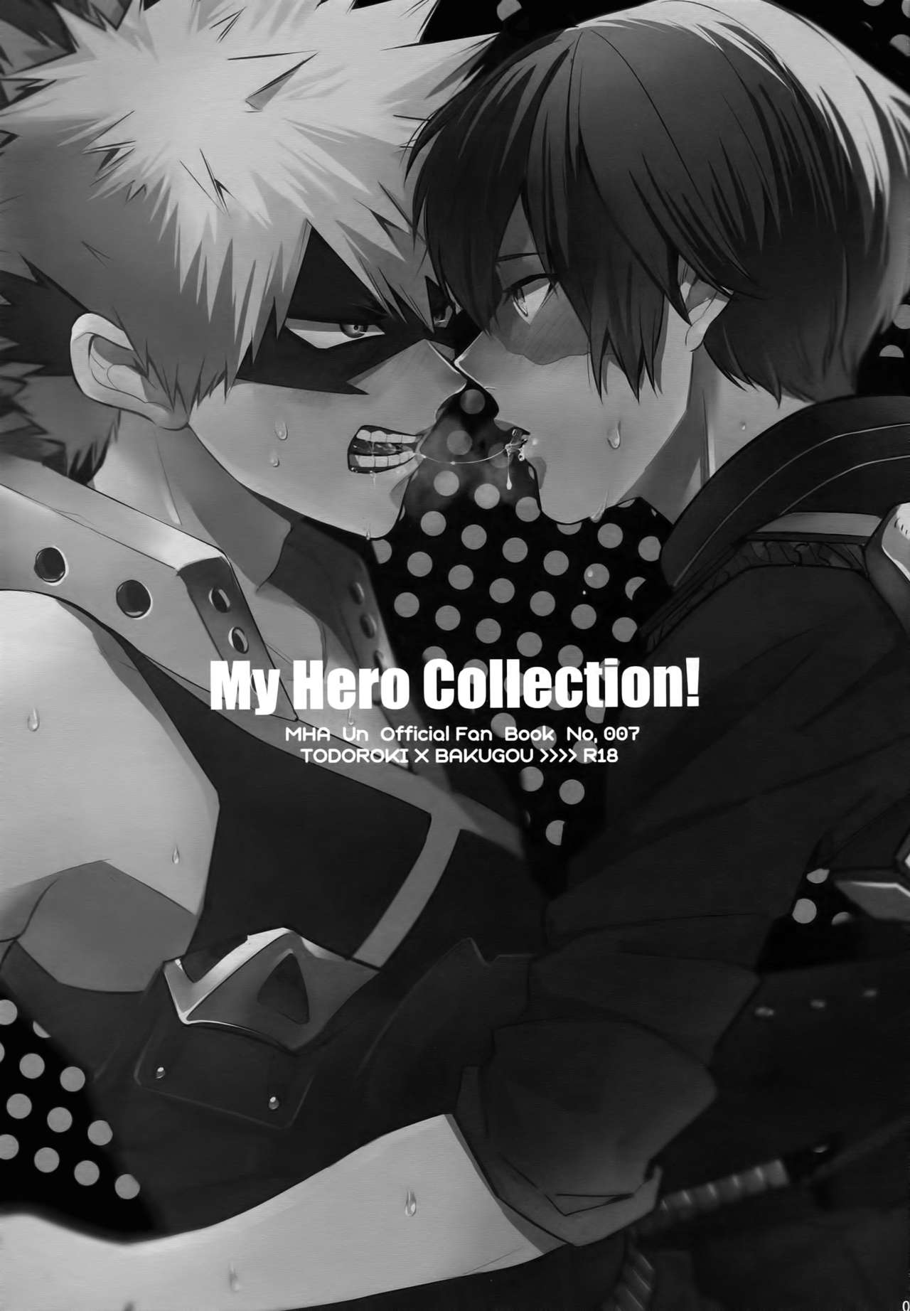 My Hero Collection! page 2 full