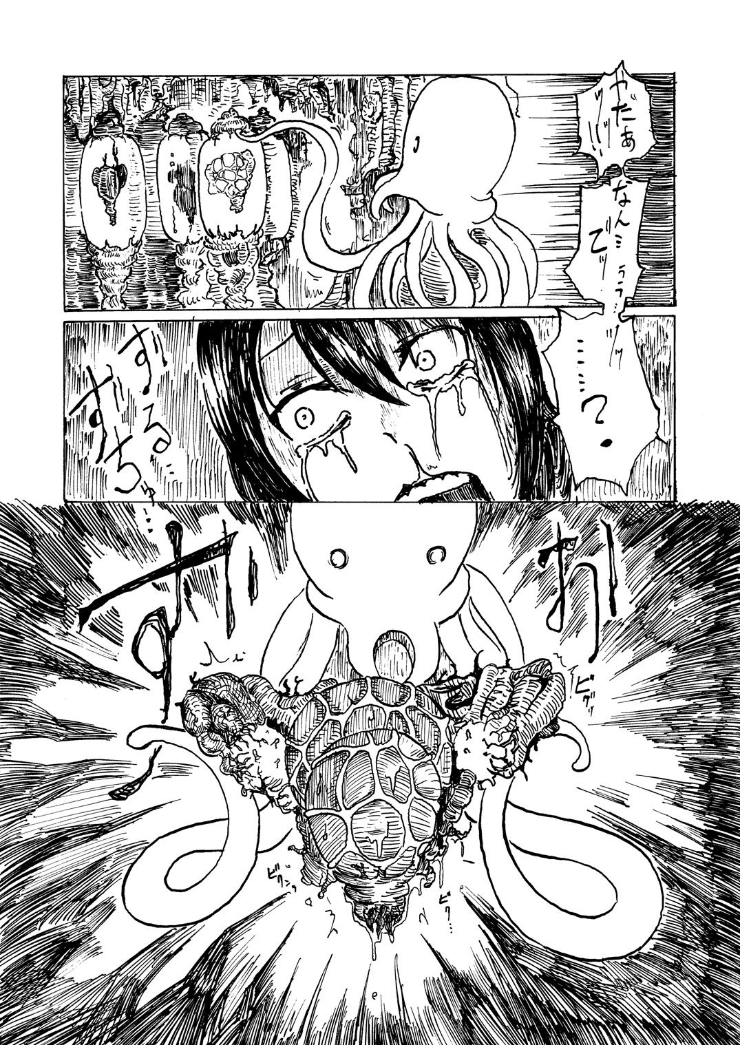 Cattrare page 12 full