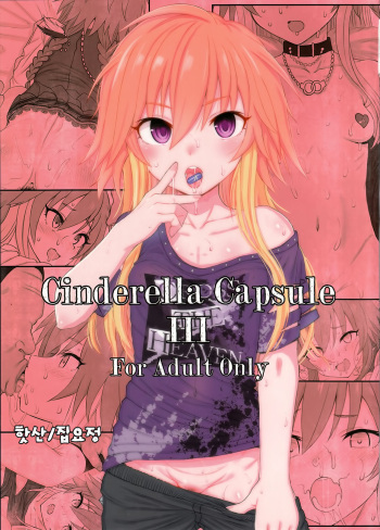 (C94) [HAMMER_HEAD (Makabe Gorou)] Cinderella Capsule III | 신데렐라 캡슐 3  (THE IDOLM@STER CINDERELLA GIRLS) [Korean] [집요정] cover