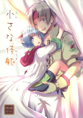(C89) [Syounen Heroine (Tamaki Yui, Midou Ren)] Chiisana Taiku (Star Ocean 2) cover
