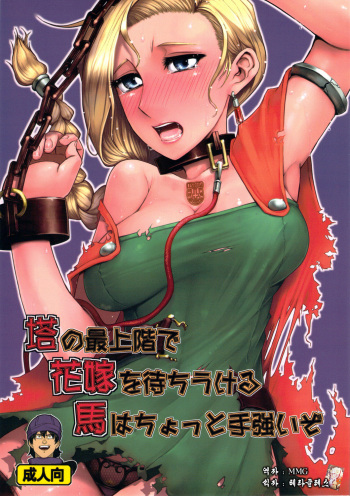 (C81) [A.S.G Group (Misonou)] Tou no Saijoukai de Hanayome o Machi Ukeru Uma wa Chotto Tegowai zo (Dragon Quest V) [Korean] [MMG] cover