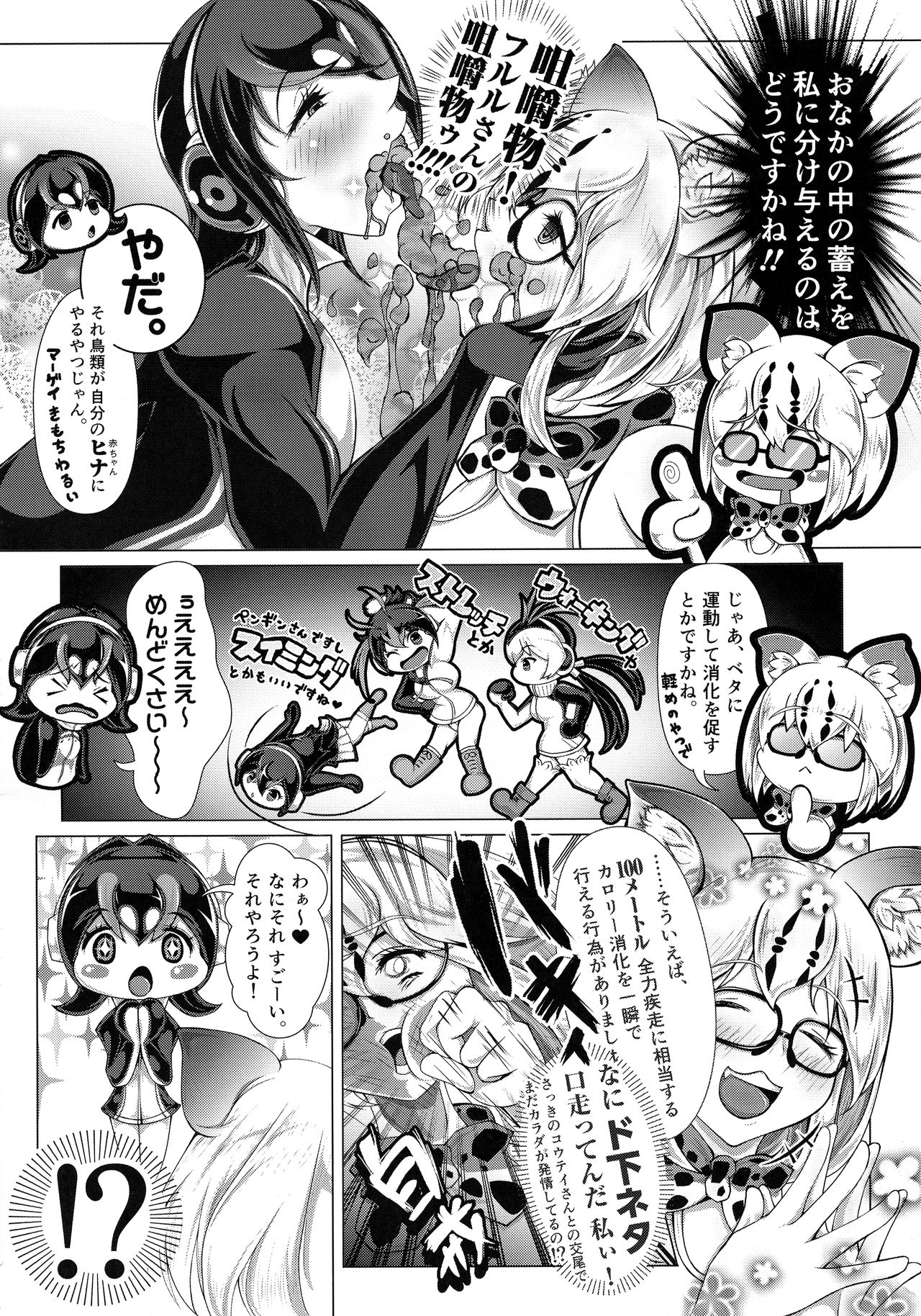 Margay no PPP Management page 12 full