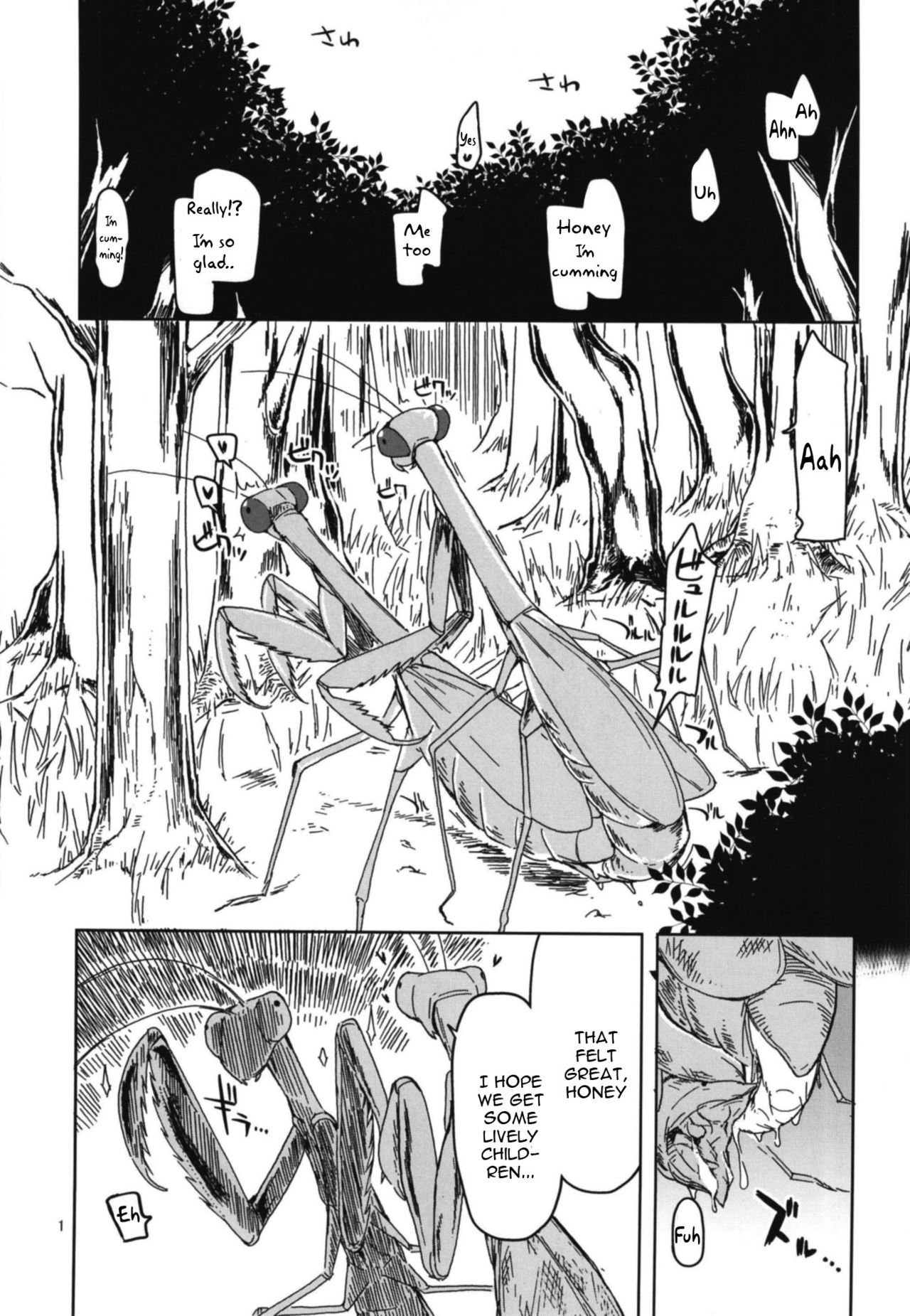 Dosukebe Elf no Ishukan Nikki 5 page 3 full