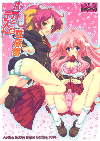 [Action Mokei (Imaizumi Atsushi)] Baka to Test to Seikantai (Baka to Test to Shoukanjuu) [Digital] cover