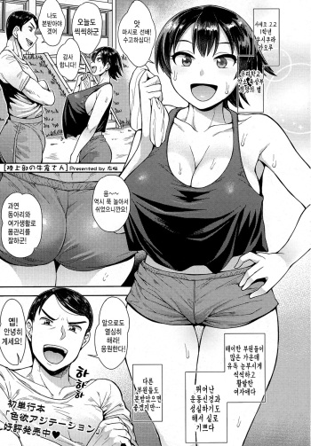 [Unou] Rikujoubu no Ushigura-san | 육상부의 우시쿠라 (COMIC saseco Vol. 1) [Korean] cover