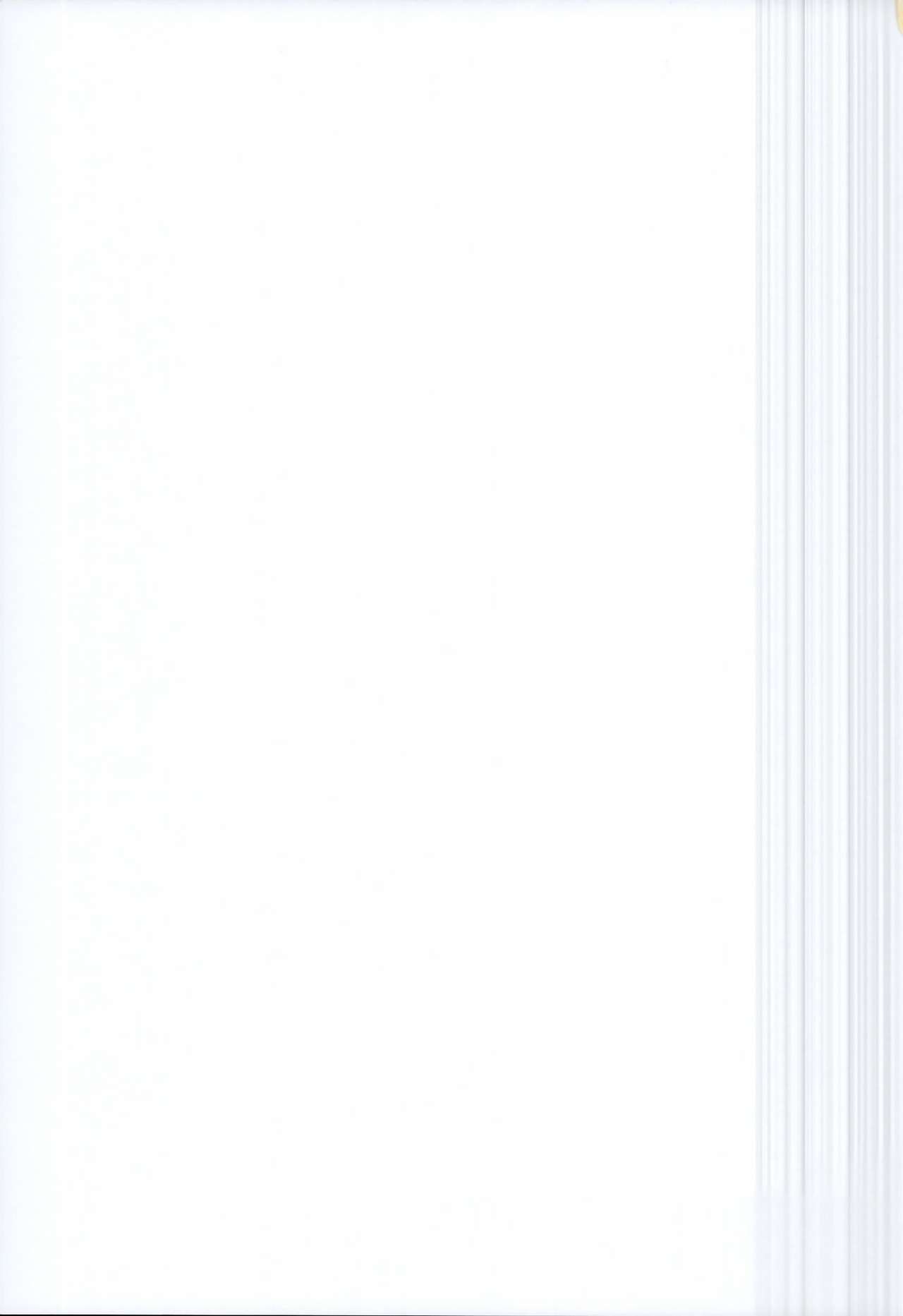 C95 Kaijou Genteibon page 11 full