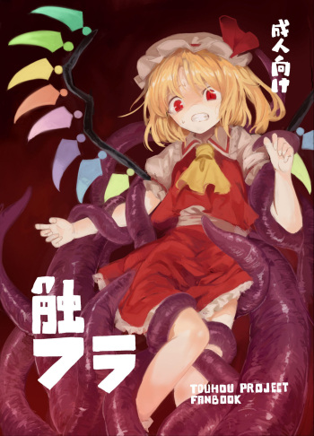 (Kouroumu 9) [Satei (s73d)] Shoku Fla (Touhou Project) [Korean] cover