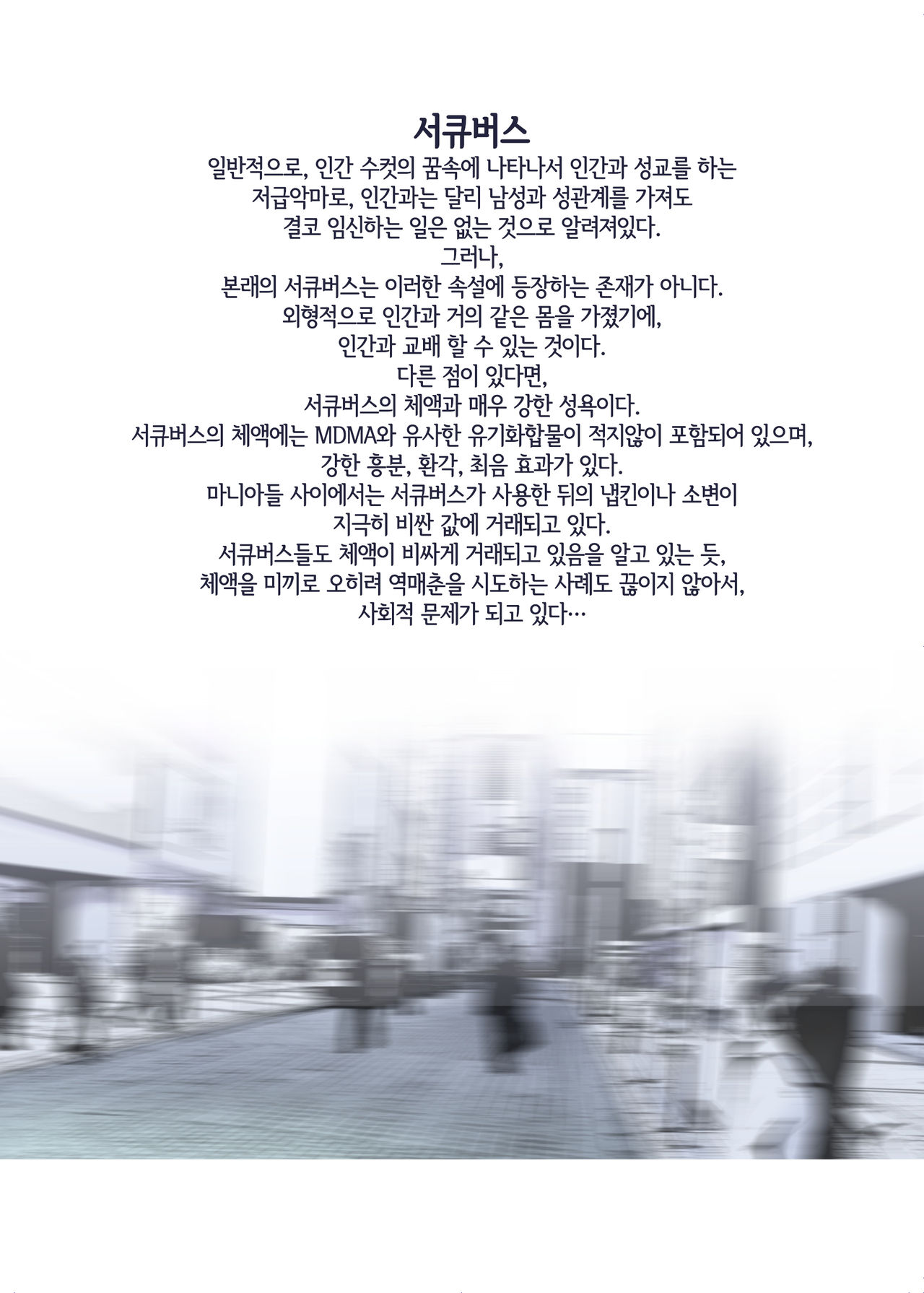 Succubus no Ninshinroku | 서큐버스의 임신 기록 page 3 full